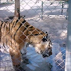 PIC04871