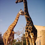 PIC04844