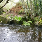 DSCN5783