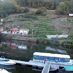DSCN6482
