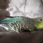 20190402_210616