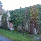 DSCN7190
