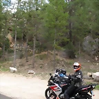 A15