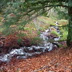 DSCN0710