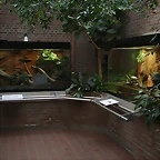 Amsterdam 29-12-2010 134