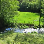 28-IMG_6386