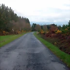 DSCN6007