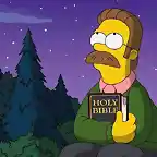 ned-flanders-simpson_0