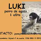 LUKI Sevilla