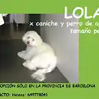 LOLA Barcelona