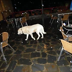 DSCN0044
