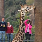 Zoo de Barcelona 03-03-12 376