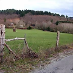 DSCN1179
