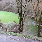 DSCN1181
