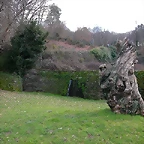 DSCN1167