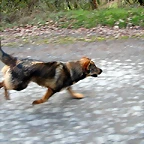 DSCN1196