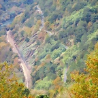 80-IMG_3958