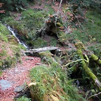 DSCN0780