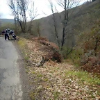 DSCN9433