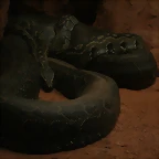 Zoo de Barcelona 27-03-11 649