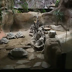 Zoo de Barcelona 27-03-11 650