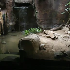 Zoo de Barcelona 27-03-11 660