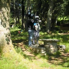 DSCN6622