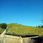 DSCN1483