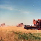 img135