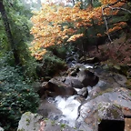 DSCN1913