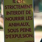 La Barben febrer 2011 434