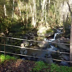 DSCN4446