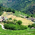 05-IMG_7215