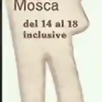 el hombre mosca D