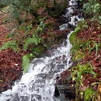 DSCN0713
