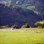 DSCN2125