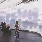 STELVIO 1980.HINAULT.