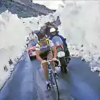 HINAULT,GIRO 1980,STELVIO.