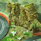 Pared rocosa 003 (Small)