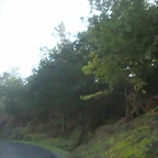 DSCN9794