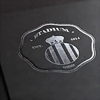 logo Stadium plata