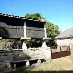DSCN6641