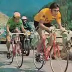 MERCKX,GUIMAR