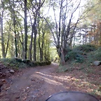 DSCN8487