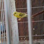 IMG_20170309_132831