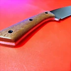 IMG_20211031_195351