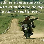 sentir vivo