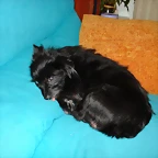 DSC00433