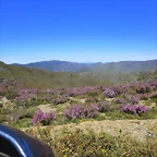 093-Imagen 099