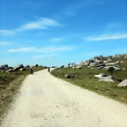 DSCN0598